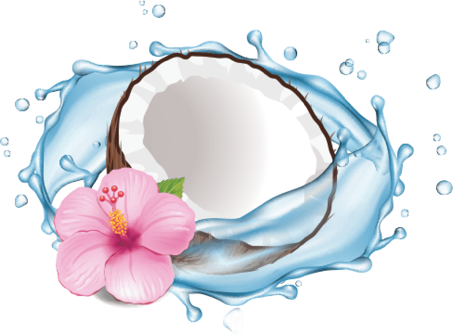 Vinaka Logo