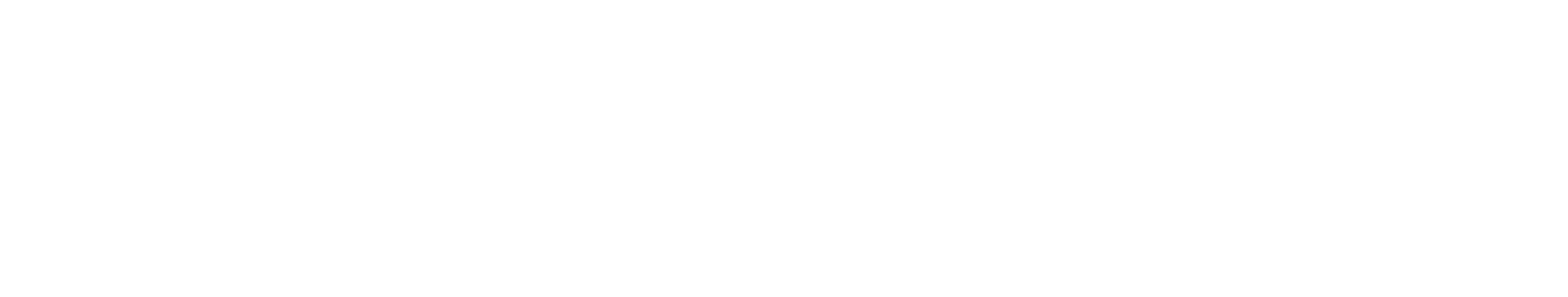 Vinaka White Wordmark